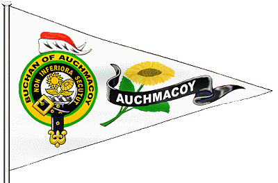 Auchmacoy pinsel